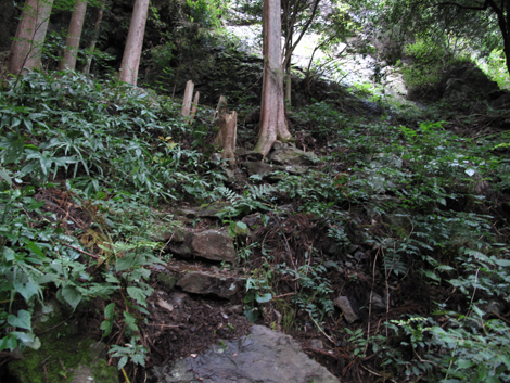 20181009hike (36)